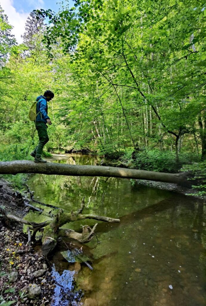 Die Maisinger Schlucht zwischen Starnberger See und Maisinger See